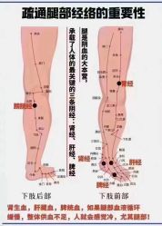 -慈蕊美容养生·专业经络调理