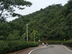 -火炉山森林公园