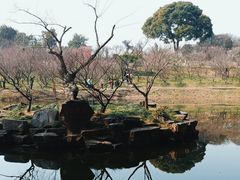 -无锡梅园公园