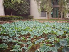 -绍兴鉴湖君澜大酒店
