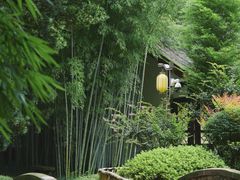 -望江楼公园