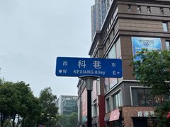 -陶记正宗德州扒鸡(科巷店)