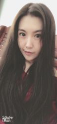 -爱维丽