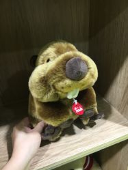 -乐多星球潮玩中心(沈阳嘉里城店)