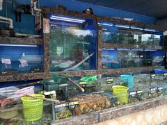 -龙溪海鲜酒家(溪涌店)