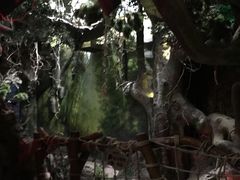 -多彩贵州城极地海洋世界