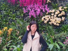-石家庄市植物园