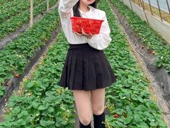 -大自然农场蔬菜草莓采摘园