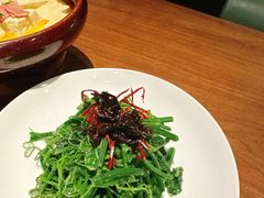 豌豆尖-清水亭湖北菜(大屯DT51店)