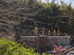 -宁波浙东大竹海景区