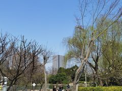 -新虹桥中心花园