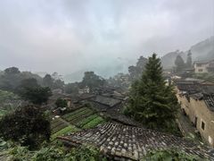 -杨家堂村