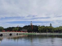 -莲花池公园