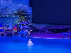 -海合安武汉极地海洋公园