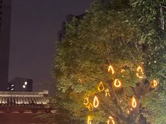 -南塘油赞子(南塘店)