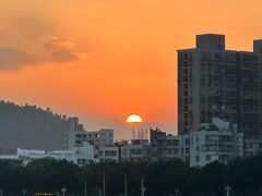 -野狸岛