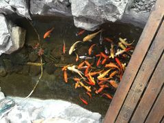 -森谷美食公园(杨行店)