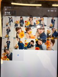 -海马体家庭照相馆(杭州远洋乐堤港店)