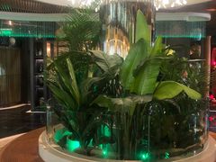 -润园四季椰子鸡火锅(海上世界店)