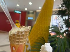-野人先生Gelato(上海长宁龙之梦店)