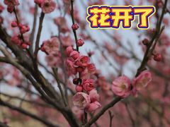 -无锡梅园公园