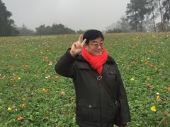 -秀丽东方