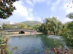 -树山生态村