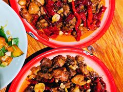 -柴窝堡22号辣子鸡·传承新疆菜