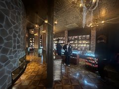 -雪灵魔法世界SHELLY’S TAROT(大良桂畔里店)