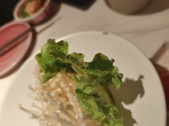 -九鼎轩脆毛肚火锅(三钢里店)