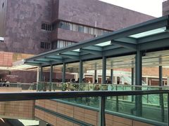 -香港大学