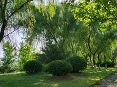 -永定河休闲森林公园