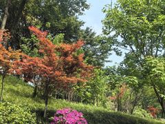-重庆平顶山公园