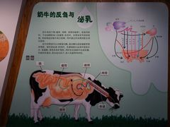 -君乐宝优致牧场