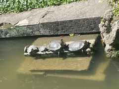 -宁波市保国寺古建筑博物馆