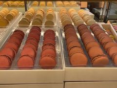 -Pierre Marcolini(德基广场店)