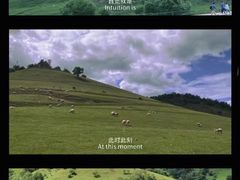 -关山草原