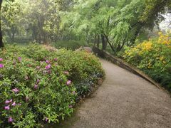 -杭州植物园