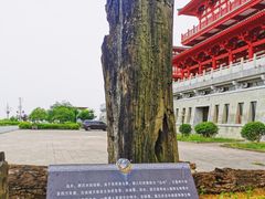 -七曲山风景区