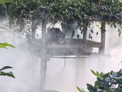 -杭州少年儿童公园