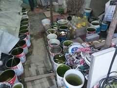 -永定河休闲森林公园