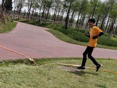 -春花秋色城市公园