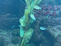 -鸿通城购物中心