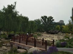 -莲花池公园