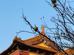 -南京市江宁方山