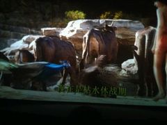 -万达影城(潍坊万达广场IMAX店)