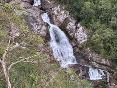 -海南热带雨林国家公园吊罗山景区