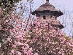 -乌山风景区