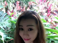 -热带雨林自然公园
