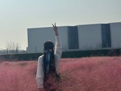 -尚贤河湿地
